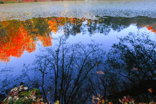 Paysage Automne Dans Sept Lacs Yedigoller Park Bolu Turquie — Photo