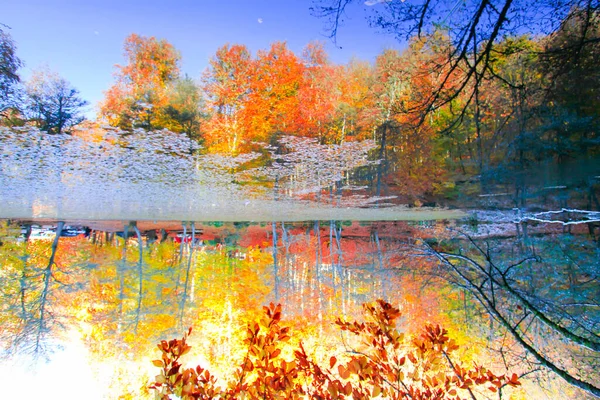 秋の風景で Ydigoller Park Bolu Turkey — ストック写真