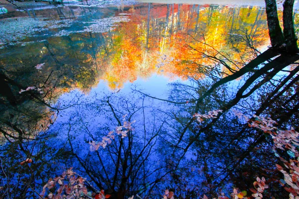 秋の風景で Ydigoller Park Bolu Turkey — ストック写真