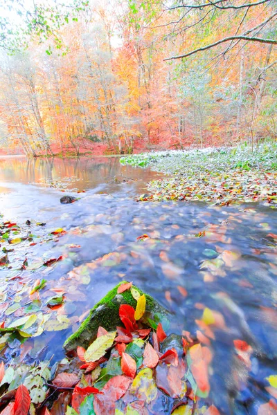 Yedigoller Park Bolu Türkiye Sonbahar Manzarası Yedi Göl — Stok fotoğraf