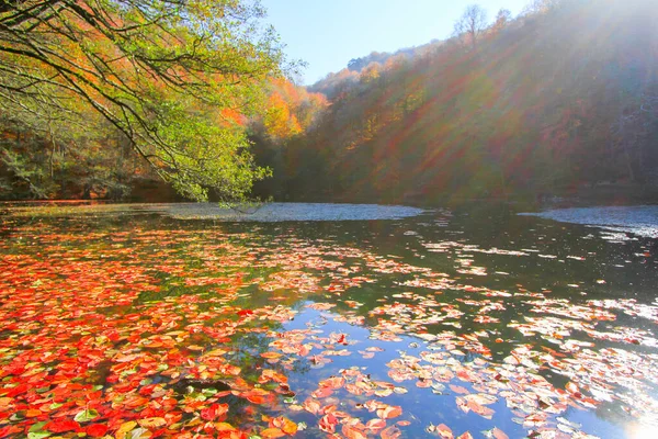 Autumn Landscape Seven Lakes Yedigoller Park Bolu Turkey — Stock Photo, Image