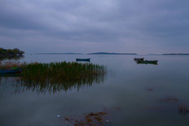 Uluabat Gölü (eski adı Apolyont Gölü) Bursa 'da büyük bir tatlı su gölüdür. Göl açısından hem plankton hem de hem su bitkileri, balık ve kuş popülasyonları Türkiye 'nin en zengin organizmalarından biridir.