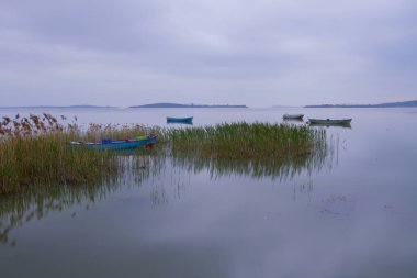 Uluabat Gölü (eski adı Apolyont Gölü) Bursa 'da büyük bir tatlı su gölüdür. Göl açısından hem plankton hem de hem su bitkileri, balık ve kuş popülasyonları Türkiye 'nin en zengin organizmalarından biridir.