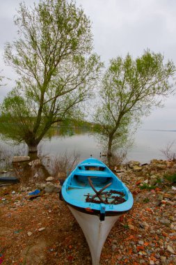 Uluabat Gölü (eski adı Apolyont Gölü) Bursa 'da büyük bir tatlı su gölüdür. Göl açısından hem plankton hem de hem su bitkileri, balık ve kuş popülasyonları Türkiye 'nin en zengin organizmalarından biridir.