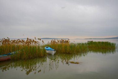 Uluabat Gölü (eski adı Apolyont Gölü) Bursa 'da büyük bir tatlı su gölüdür. Göl açısından hem plankton hem de hem su bitkileri, balık ve kuş popülasyonları Türkiye 'nin en zengin organizmalarından biridir.