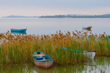 Uluabat Gölü (eski adı Apolyont Gölü) Bursa 'da büyük bir tatlı su gölüdür. Göl açısından hem plankton hem de hem su bitkileri, balık ve kuş popülasyonları Türkiye 'nin en zengin organizmalarından biridir.