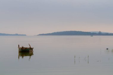 Uluabat Gölü (eski adı Apolyont Gölü) Bursa 'da büyük bir tatlı su gölüdür. Göl açısından hem plankton hem de hem su bitkileri, balık ve kuş popülasyonları Türkiye 'nin en zengin organizmalarından biridir.