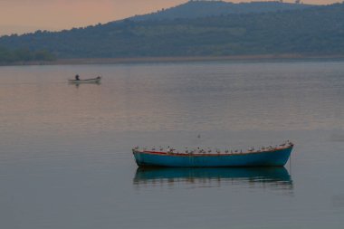Uluabat Gölü (eski adı Apolyont Gölü) Bursa 'da büyük bir tatlı su gölüdür. Göl açısından hem plankton hem de hem su bitkileri, balık ve kuş popülasyonları Türkiye 'nin en zengin organizmalarından biridir.