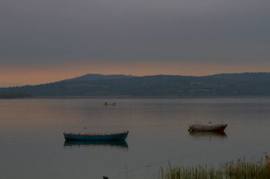 Uluabat Gölü (eski adı Apolyont Gölü) Bursa 'da büyük bir tatlı su gölüdür. Göl açısından hem plankton hem de hem su bitkileri, balık ve kuş popülasyonları Türkiye 'nin en zengin organizmalarından biridir.