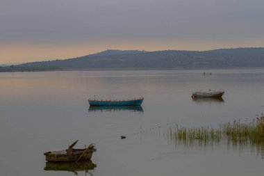 Uluabat Gölü (eski adı Apolyont Gölü) Bursa 'da büyük bir tatlı su gölüdür. Göl açısından hem plankton hem de hem su bitkileri, balık ve kuş popülasyonları Türkiye 'nin en zengin organizmalarından biridir.