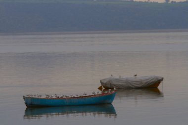 Uluabat Gölü (eski adı Apolyont Gölü) Bursa 'da büyük bir tatlı su gölüdür. Göl açısından hem plankton hem de hem su bitkileri, balık ve kuş popülasyonları Türkiye 'nin en zengin organizmalarından biridir.