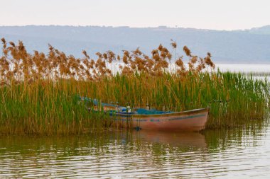 Uluabat Gölü (eski adı Apolyont Gölü) Bursa 'da büyük bir tatlı su gölüdür. Göl açısından hem plankton hem de hem su bitkileri, balık ve kuş popülasyonları Türkiye 'nin en zengin organizmalarından biridir.