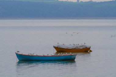 Uluabat Gölü (eski adı Apolyont Gölü) Bursa 'da büyük bir tatlı su gölüdür. Göl açısından hem plankton hem de hem su bitkileri, balık ve kuş popülasyonları Türkiye 'nin en zengin organizmalarından biridir.