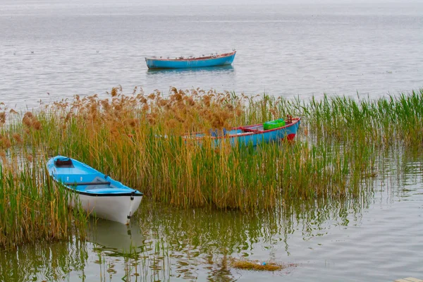 Uluabat Lake Voorheen Apolyont Lake Een Groot Zoetwatermeer Bursa Zowel — Stockfoto