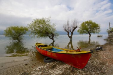 Uluabat Gölü (eski adı Apolyont Gölü) Bursa 'da büyük bir tatlı su gölüdür. Göl açısından hem plankton hem de hem su bitkileri, balık ve kuş popülasyonları Türkiye 'nin en zengin organizmalarından biridir.