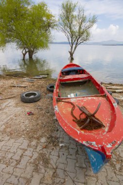 Uluabat Gölü (eski adı Apolyont Gölü) Bursa 'da büyük bir tatlı su gölüdür. Göl açısından hem plankton hem de hem su bitkileri, balık ve kuş popülasyonları Türkiye 'nin en zengin organizmalarından biridir.
