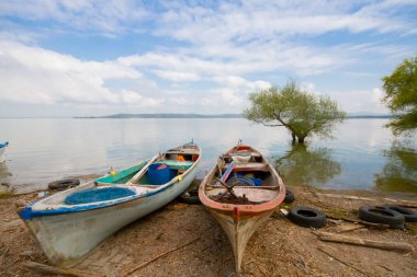 Uluabat Gölü (eski adı Apolyont Gölü) Bursa 'da büyük bir tatlı su gölüdür. Göl açısından hem plankton hem de hem su bitkileri, balık ve kuş popülasyonları Türkiye 'nin en zengin organizmalarından biridir.