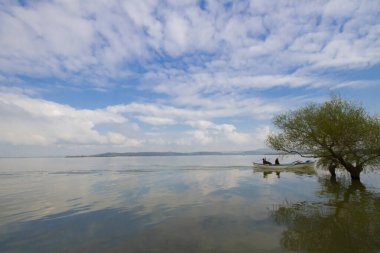 Uluabat Gölü (eski adı Apolyont Gölü) Bursa 'da büyük bir tatlı su gölüdür. Göl açısından hem plankton hem de hem su bitkileri, balık ve kuş popülasyonları Türkiye 'nin en zengin organizmalarından biridir.