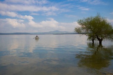Uluabat Gölü (eski adı Apolyont Gölü) Bursa 'da büyük bir tatlı su gölüdür. Göl açısından hem plankton hem de hem su bitkileri, balık ve kuş popülasyonları Türkiye 'nin en zengin organizmalarından biridir.