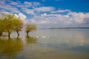 Glyaz, Bursa 'nın Nilfer ilçesine bağlı bir mahalle. Bursa-zmir otoyolunun 35. kilometresinden güneye döndüğünüzde 7 km içeride bulunan Glyaz, Uluabat Gölü kıyısında iki alçak tepenin bulunduğu küçük bir yarımadada inşa edilmiştir..