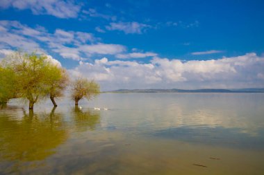 Glyaz, Bursa 'nın Nilfer ilçesine bağlı bir mahalle. Bursa-zmir otoyolunun 35. kilometresinden güneye döndüğünüzde 7 km içeride bulunan Glyaz, Uluabat Gölü kıyısında iki alçak tepenin bulunduğu küçük bir yarımadada inşa edilmiştir..