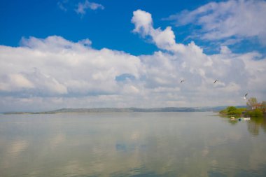Glyaz, Bursa 'nın Nilfer ilçesine bağlı bir mahalle. Bursa-zmir otoyolunun 35. kilometresinden güneye döndüğünüzde 7 km içeride bulunan Glyaz, Uluabat Gölü kıyısında iki alçak tepenin bulunduğu küçük bir yarımadada inşa edilmiştir..