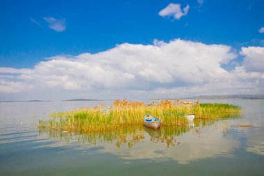 Glyaz, Bursa 'nın Nilfer ilçesine bağlı bir mahalle. Bursa-zmir otoyolunun 35. kilometresinden güneye döndüğünüzde 7 km içeride bulunan Glyaz, Uluabat Gölü kıyısında iki alçak tepenin bulunduğu küçük bir yarımadada inşa edilmiştir..