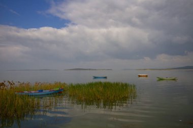 Glyaz, Bursa 'nın Nilfer ilçesine bağlı bir mahalle. Bursa-zmir otoyolunun 35. kilometresinden güneye döndüğünüzde 7 km içeride bulunan Glyaz, Uluabat Gölü kıyısında iki alçak tepenin bulunduğu küçük bir yarımadada inşa edilmiştir..