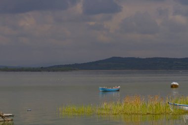 Glyaz, Bursa 'nın Nilfer ilçesine bağlı bir mahalle. Bursa-zmir otoyolunun 35. kilometresinden güneye döndüğünüzde 7 km içeride bulunan Glyaz, Uluabat Gölü kıyısında iki alçak tepenin bulunduğu küçük bir yarımadada inşa edilmiştir..