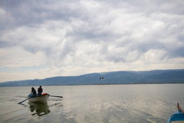 Glyaz, Bursa 'nın Nilfer ilçesine bağlı bir mahalle. Bursa-zmir otoyolunun 35. kilometresinden güneye döndüğünüzde 7 km içeride bulunan Glyaz, Uluabat Gölü kıyısında iki alçak tepenin bulunduğu küçük bir yarımadada inşa edilmiştir..