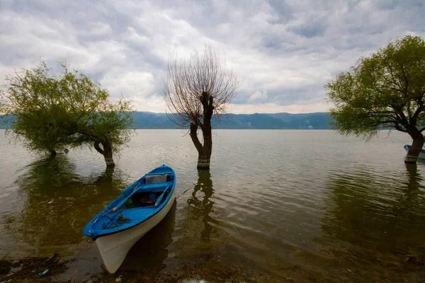 ウルアバット湖 Uluabat Lake 旧アポヨーント湖 ブルサ島の大規模な淡水湖である 湖の面で水生植物魚鳥の両方の個体群はトルコで最も豊かなものの一つです — ストック写真
