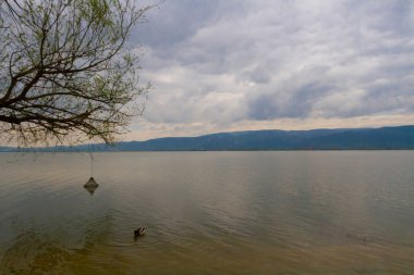 Uluabat Gölü (eski adı Apolyont Gölü) Bursa 'da büyük bir tatlı su gölüdür. Göl açısından hem plankton hem de hem su bitkileri, balık ve kuş popülasyonları Türkiye 'nin en zengin organizmalarından biridir.