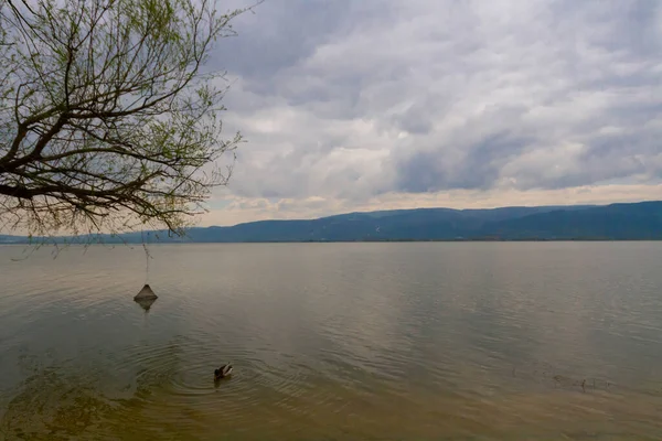 ウルアバット湖 Uluabat Lake 旧アポヨーント湖 ブルサ島の大規模な淡水湖である 湖の面で水生植物魚鳥の両方の個体群はトルコで最も豊かなものの一つです — ストック写真