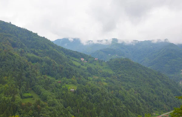 Artvin Arhavi Podwójne Łuki Mosty Znane Jako Cifte Kopruler Naturalnym — Zdjęcie stockowe