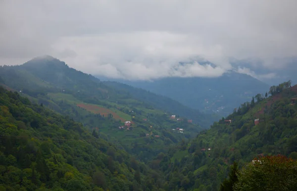 Artvin Arhavi自然林と青空の背景とCifte Koprulerとして知られている二重アーチ橋 — ストック写真