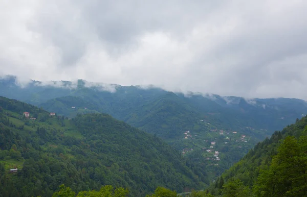 Artvin Arhavi Doppelbögen Brücken Bekannt Als Cifte Kopruler Mit Natürlichem — Stockfoto