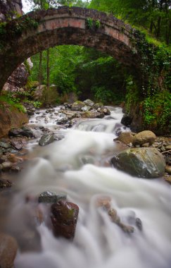 Artvin Arhavi çift kemerli köprüler Cifte kopruler olarak bilinen doğal orman ve mavi gökyüzü arka planı.