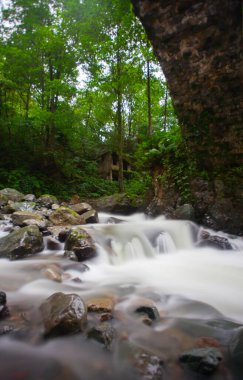 Artvin Arhavi çift kemerli köprüler Cifte kopruler olarak bilinen doğal orman ve mavi gökyüzü arka planı.