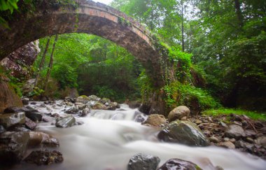 Artvin Arhavi çift kemerli köprüler Cifte kopruler olarak bilinen doğal orman ve mavi gökyüzü arka planı.