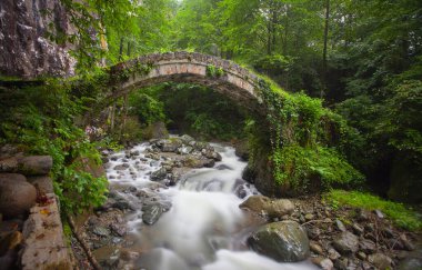 Artvin Arhavi çift kemerli köprüler Cifte kopruler olarak bilinen doğal orman ve mavi gökyüzü arka planı.