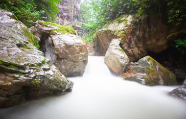 Artvin Arhavi çift kemerli köprüler Cifte kopruler olarak bilinen doğal orman ve mavi gökyüzü arka planı.