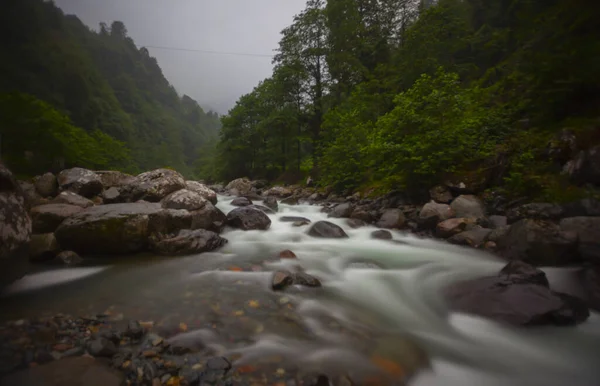 Artvin Arhavi Διπλές Καμάρες Γέφυρες Γνωστές Cifte Koprenor Φυσικό Δάσος — Φωτογραφία Αρχείου