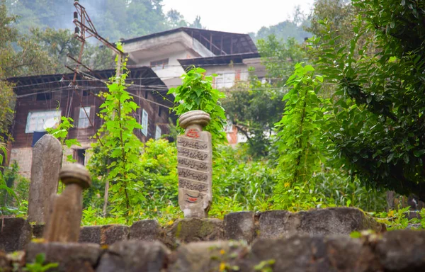 Artvin Arhavi自然林と青空の背景とCifte Koprulerとして知られている二重アーチ橋 — ストック写真