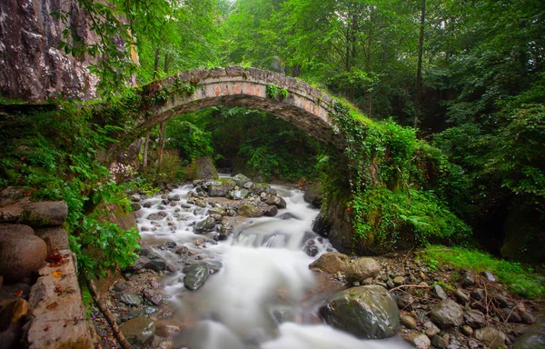 Artvin Arhavi çift kemerli köprüler Cifte kopruler olarak bilinen doğal orman ve mavi gökyüzü arka planı.