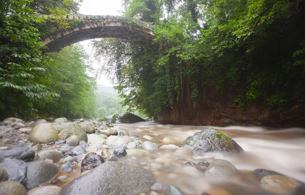 Artvin Arhavi Подвійні Арки Bridges Відомі Cifte Kopruler Природним Лісом — стокове фото