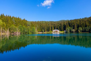 Artvin savsat karagol olarak da bilinir. Yeşil orman ve mavi gökyüzü arkaplanı ile Kara Göl olarak da bilinir.