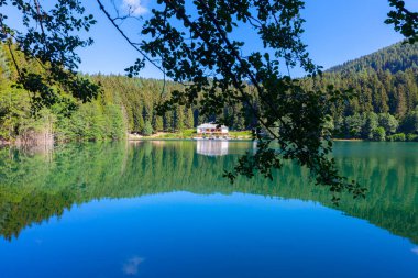 Artvin savsat karagol olarak da bilinir. Yeşil orman ve mavi gökyüzü arkaplanı ile Kara Göl olarak da bilinir.