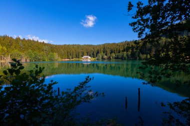 Artvin savsat karagol olarak da bilinir. Yeşil orman ve mavi gökyüzü arkaplanı ile Kara Göl olarak da bilinir.