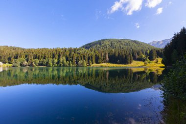 Artvin savsat karagol olarak da bilinir. Yeşil orman ve mavi gökyüzü arkaplanı ile Kara Göl olarak da bilinir.