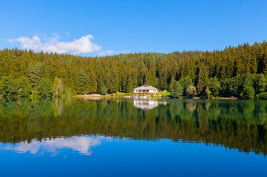 Artvin savsat karagol olarak da bilinir. Yeşil orman ve mavi gökyüzü arkaplanı ile Kara Göl olarak da bilinir.